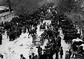 Il mercato di cavalli di Modena nel 1937