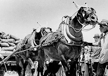 Fiera di San Giovanni a Monza, anno 1938