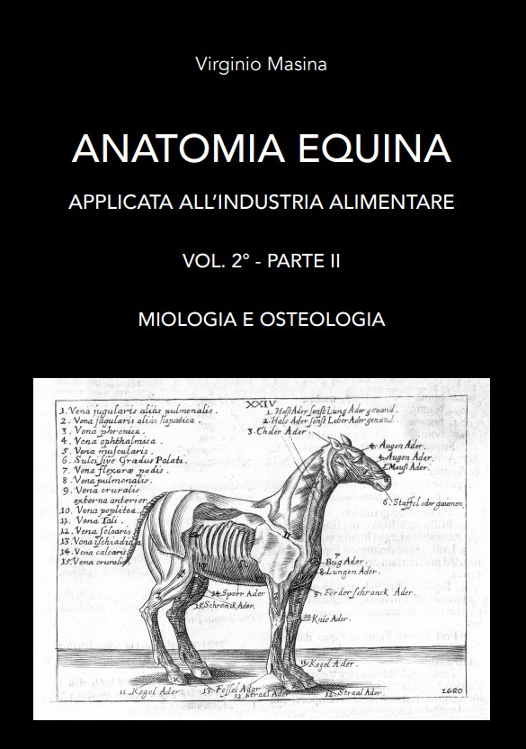 Anatomia equina - Parte II